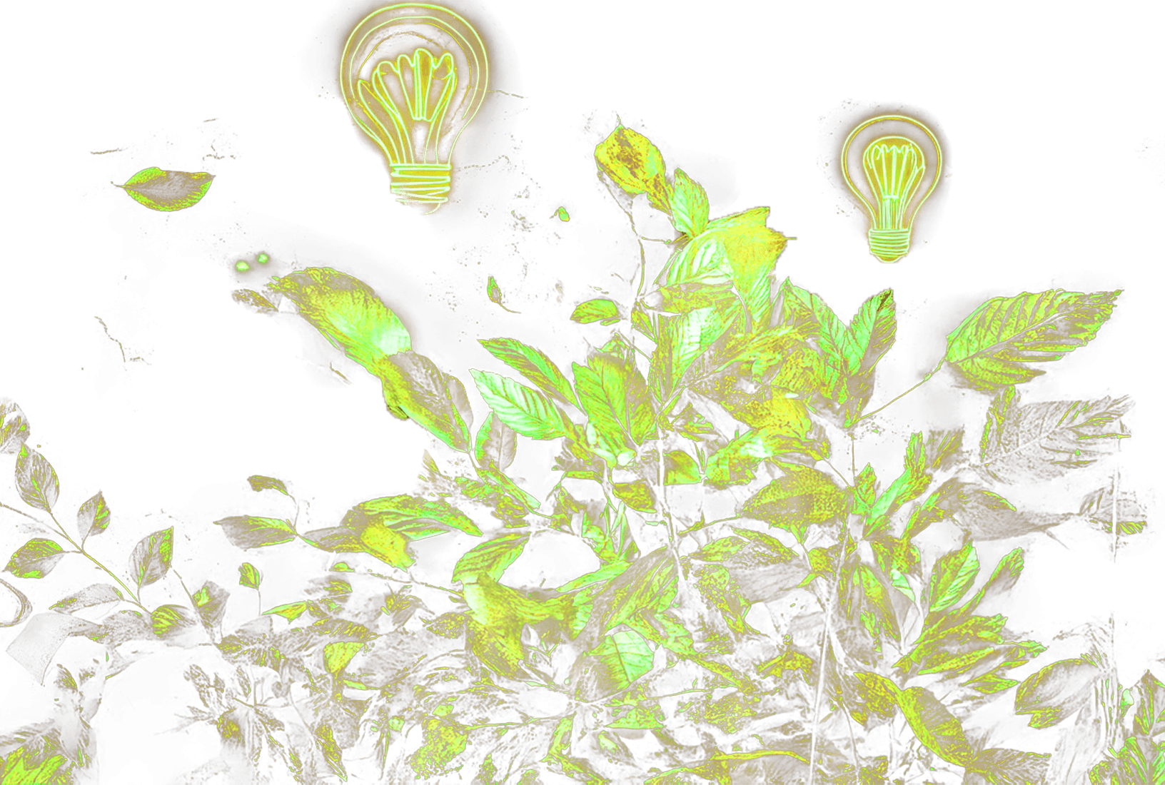 Decorative elements